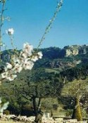 Cal Giral